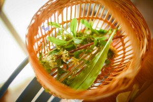 panier de salade