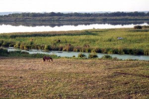 Vue du marais vernier